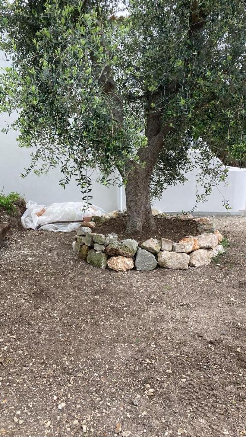 *Suite *Pozzo Dei Desideri Peschici Eksteriør bilde